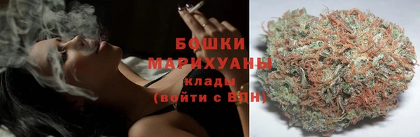 шишки Тихвин