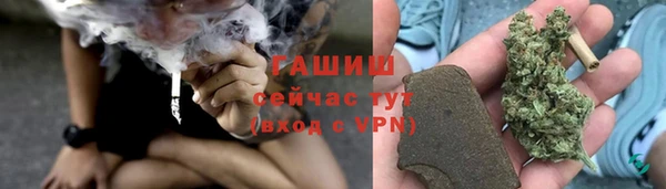 шишки Тихвин