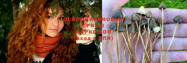 молекула духа Среднеуральск